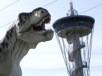 /album/galeria/dscn2543-kopiowanie-jpg/